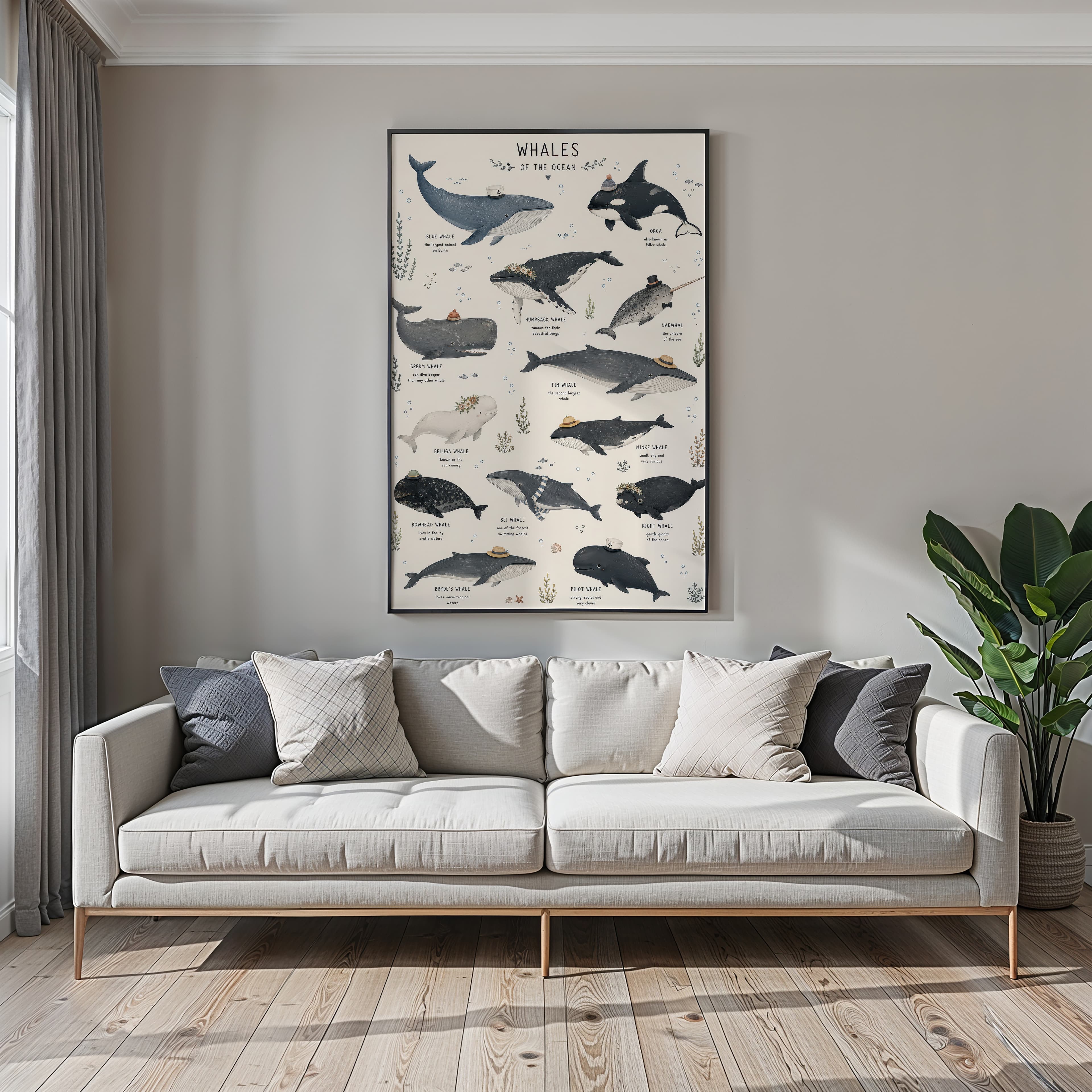 Whale Species Chart Print